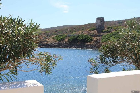 Ile d'Asinara en Sardaigne