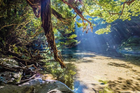 Riviere-Yodogawa-a-Yakushima-zeitblohm-CCBY20-web