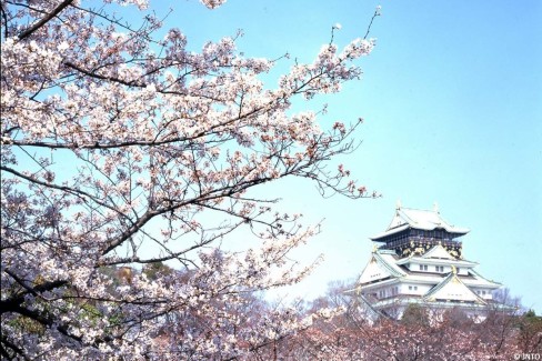 Chateau-dOsaka-entoure-de-sakura-web