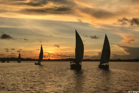 Dhow sailboats at sunset in Lamu Island, Kenya.