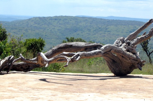 Point de vue sur les montagnes du Kenya