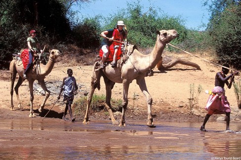 Randonnee-chameliere-Laikipia-web