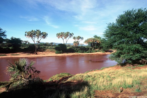 Riviere-Samburu-c-Kenya-Tourist-Board-web