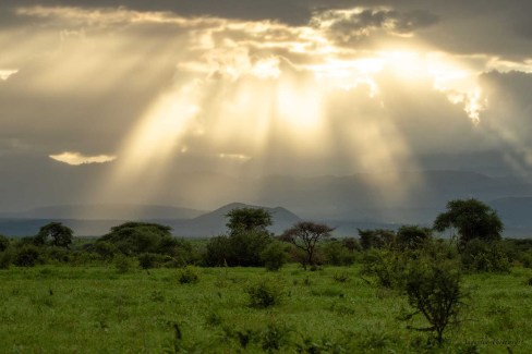 Lumières sur le parc national Meru dans le nord du Kenya