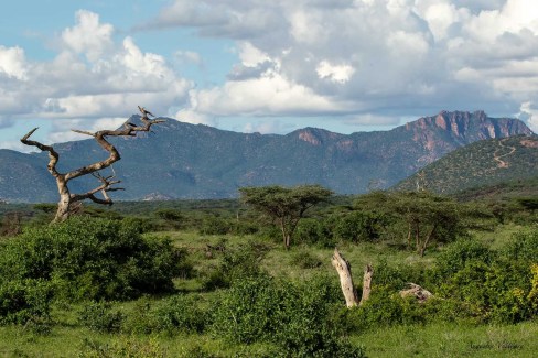 Paysage de la région de Samburu au Kenya