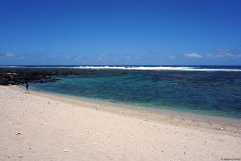 La Réunion - lagon de Saint Pierre - snorkeling - plage de sable blanc