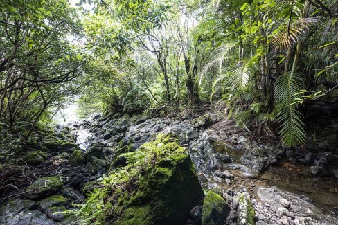 Pointe du Tremblet au pied du volcan à la Réunion