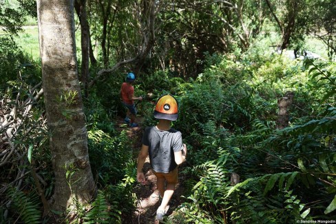 Balade en forêt en famille à la Réunion