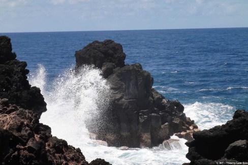 Sud Sauvage Langevin - La Réunion