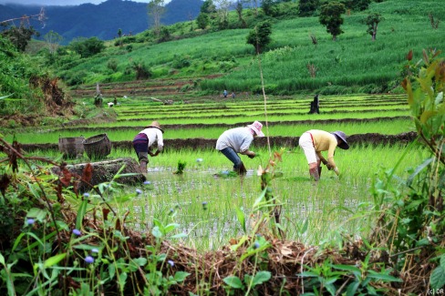 Laos-Johann-91-web