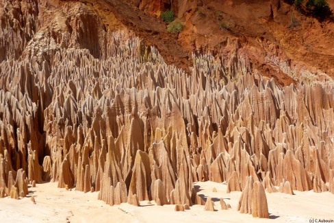 Tsingy rouges typiques de Madagascar