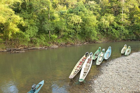 Barques le long du lac de Batang Ai