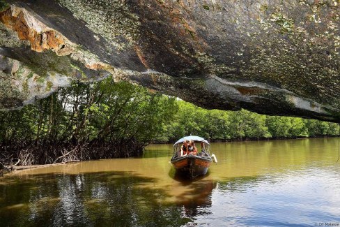 Balade dans la mangrove de la rivière Kilim à Langkawi, Malaisie