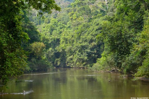 Rivière Tahan à Taman Negara
