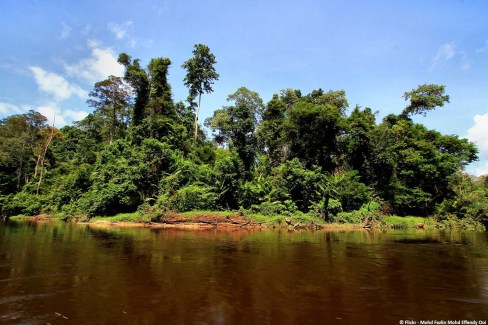 Kuala Tahan, arrivée sur le parc Taman Negara