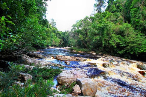 Site de Lata Berkoh à Taman Negara