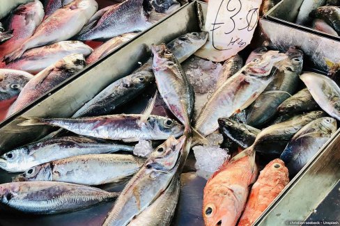 Culture de la pêche à Malte