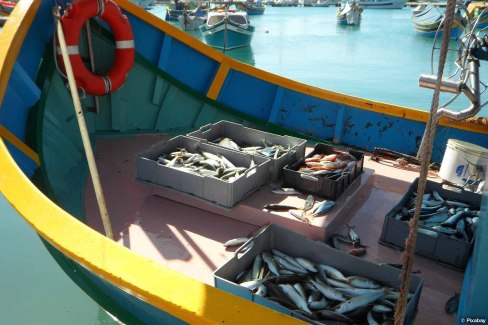 Retour de pêche à Marsaxlokk