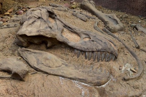 Maroc-en-famille-ait-bouguemaz-sur-les-traces-des-dinosaures-web