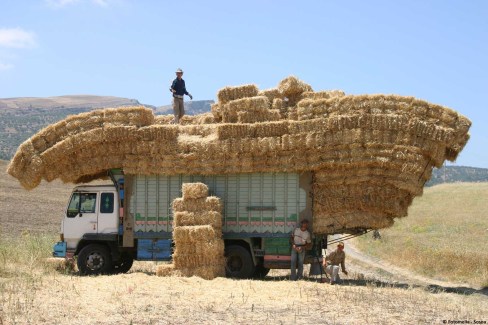 Maroc-agriculteurs-de-la-campagne-marocaine-sosoa-pour-Fotomelia-web
