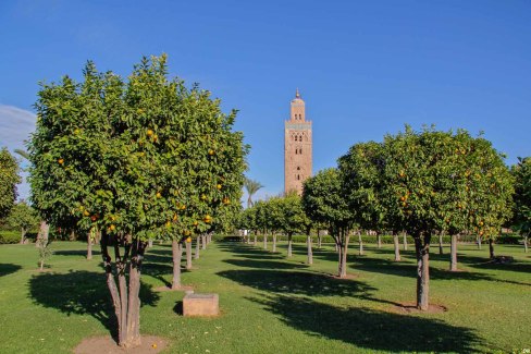 Maroc-Marrakech-vue-sur-la-koutoubia-depuis-les-jardins-dorangers-web