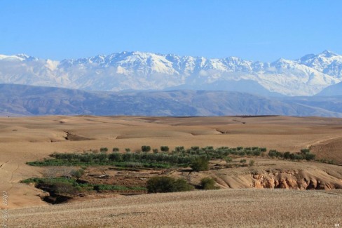 Maroc-oasis-dans-le-desert-agafay-marrakech-web