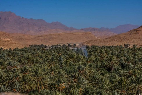 Maroc oasis de Djebel dans la vallée du Draa