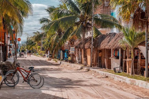 free-birds-unsplash-Rue-dHolbox-web