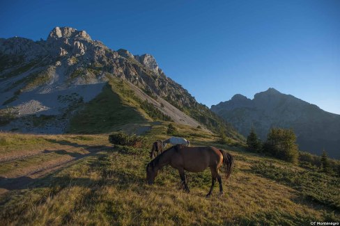 Paisible nature dans le parc national Durmitor