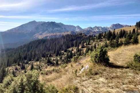 Vue sur la vallée de Zabljac depuis le parc national Durmitor au Monténégro