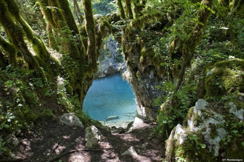 Vue plongeante sur le canyon Mrtvica au Monténégro