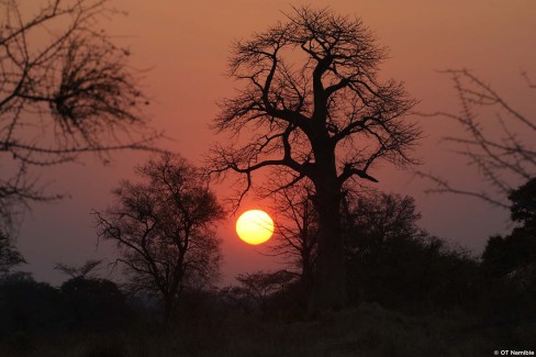 Lever du soleil dans le paysage de la Bande de Caprivi en Namibie