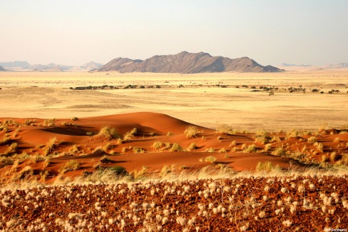 Désert du Namib