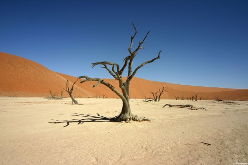 Sossusvlei