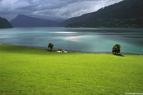 11-InnovationNoway_Sognefjord