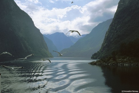 12-InnovationNoway_Sognefjorden