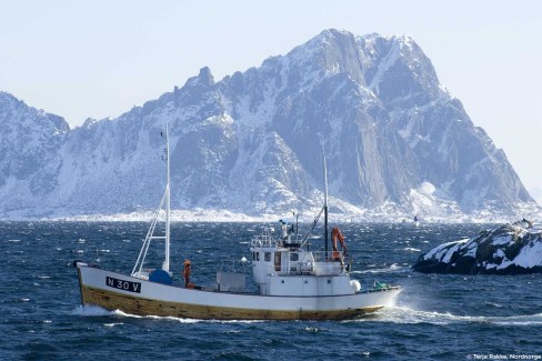 Bateau de pêche dans les îles Lofoten