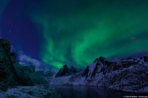 Aurore boréale et îles Lofoten - Norvège