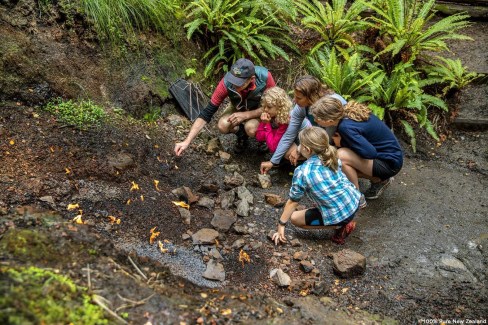 Balade en forêt en famille en Nouvelle Zélande