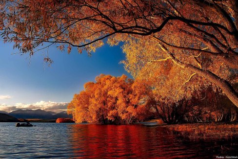 Ile du Sud été indien au lac Tekapo