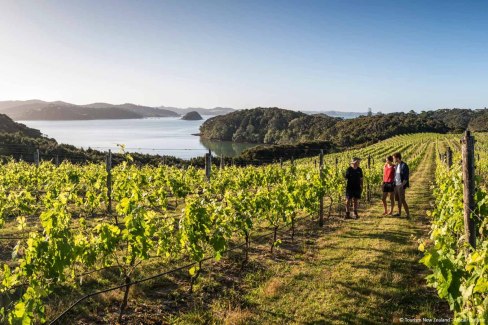 Balade-dans-les-vignobles-de-la-Baie-des-iles-Northland-NZ-TourismAlistair-Guthrie-web