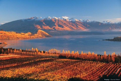 Route des vignobles de Wanaka en Nouvelle Zélande