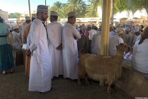 nizwa-marche-bestiaux-by-MG-web