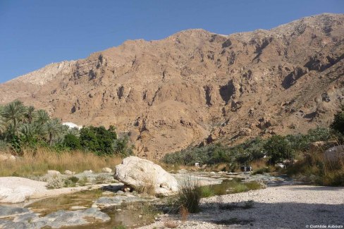 Wadi Tiwi