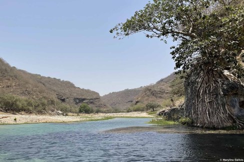 Wadi Darbat dans le Dhofar - Sultanat d'Oman