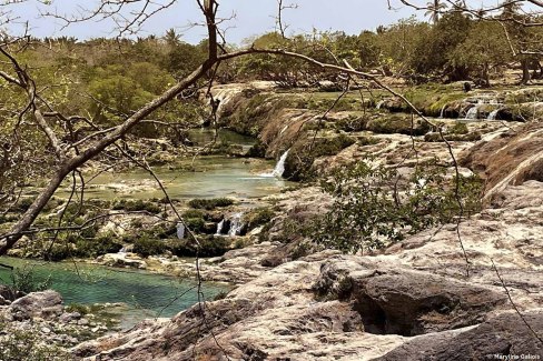 Wadi Darbat dans le Dhofar - Sultanat d'Oman