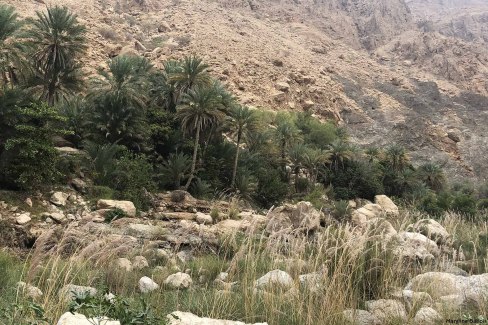 Entrée du wadi Tiwi