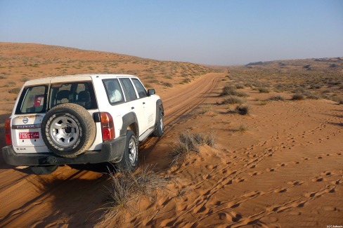 A travers l'immensité des Wahiba Sands