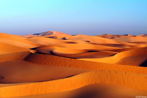 Mer de dunes des Wahiba Sands