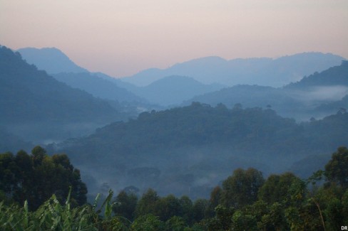 Bwindi Impenetrable National Park (Uganda)